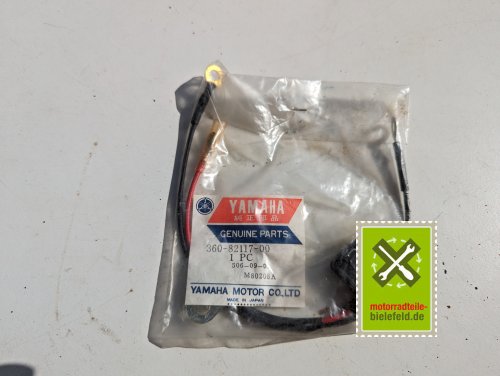 PXL_20240528_150555022